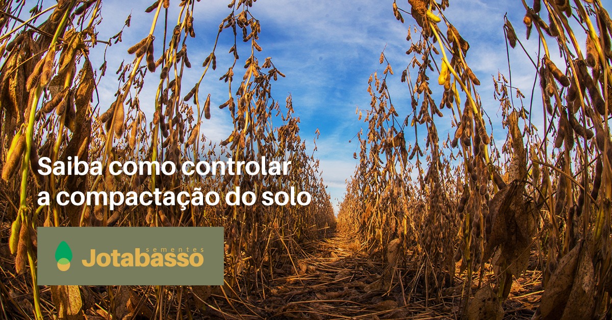 BRASMAX - Produtos - Vigorar Agrícola